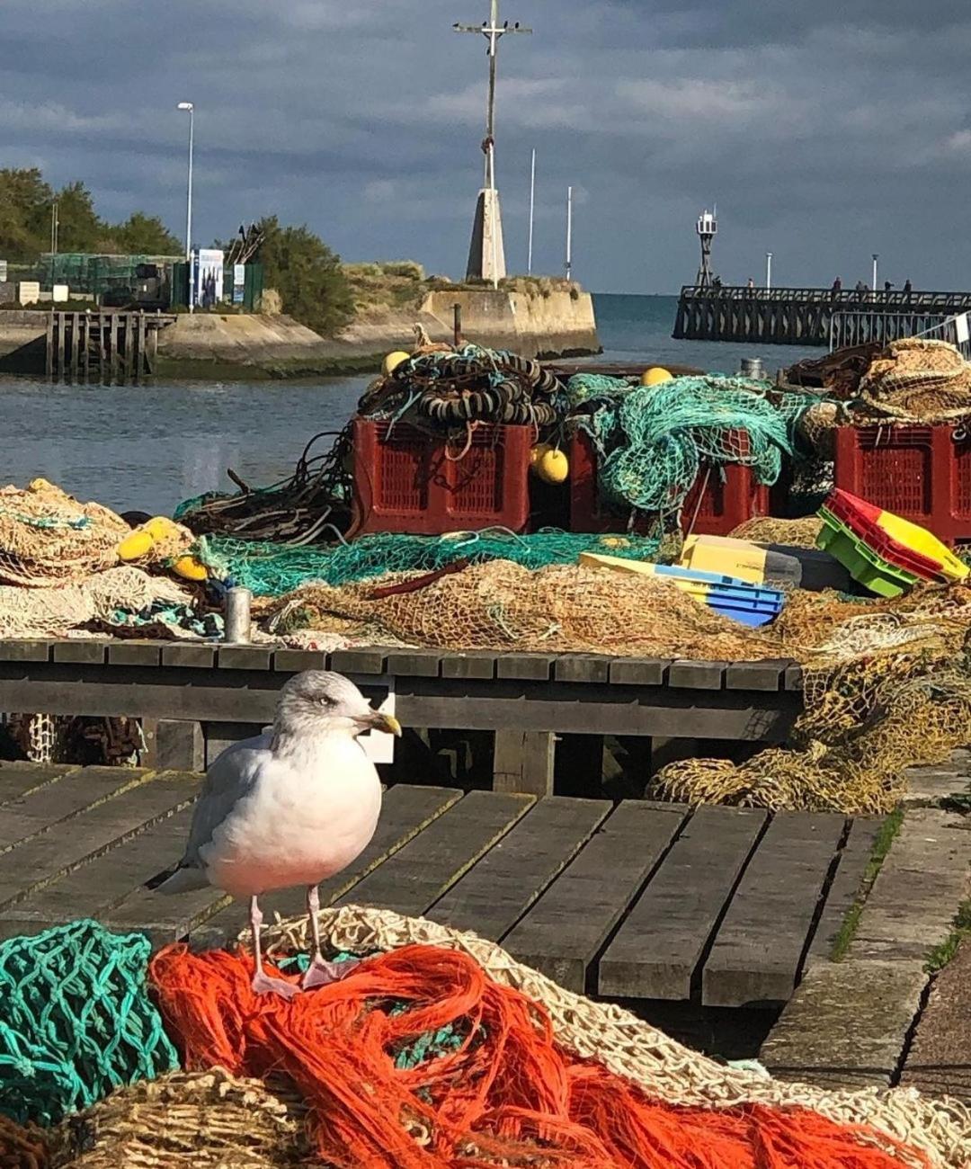Entre Seulles & Mer Proche Port De Plaisance Courseulles-sur-Mer Exterior foto
